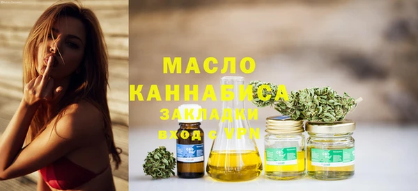 шишки Верея