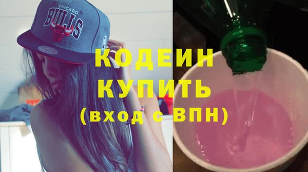 шишки Верея