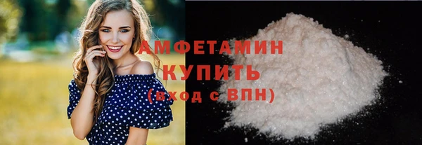 шишки Верея