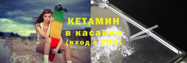 шишки Верея
