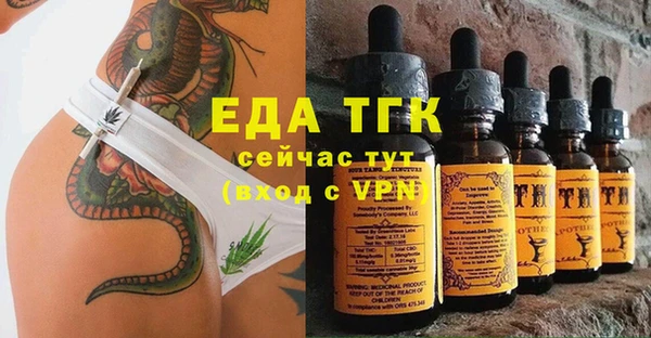 шишки Верея