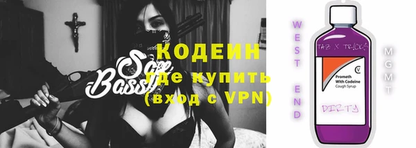шишки Верея