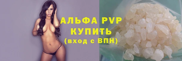 шишки Верея